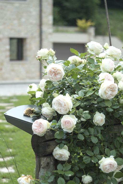 Alloggio per agriturismo Casamela