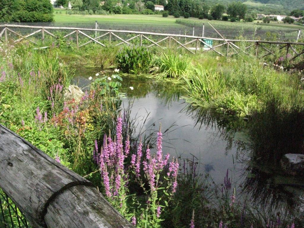 Vakantieboerderij Casamela *